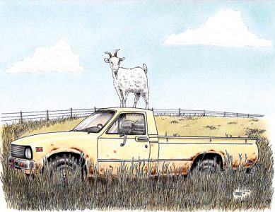 Pet Goat Amuses as Starter Farm Animal Image